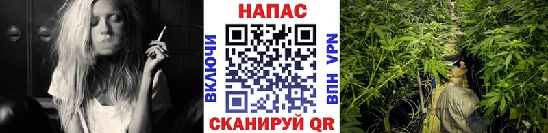 Где можно купить наркотики Орехово-Зуево ГАШ  МАРИХУАНА  АМФЕТАМИН  МЕФ  COCAIN 