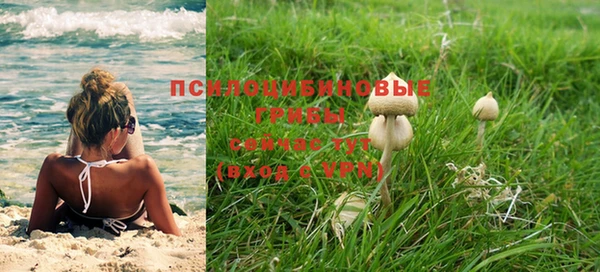 скорость Козловка