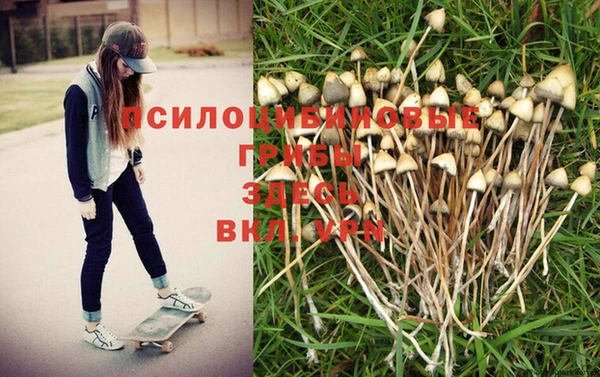 бошки Кодинск