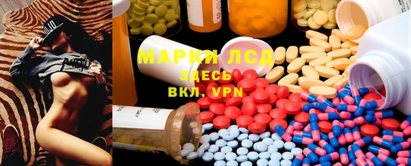 сатива Магас
