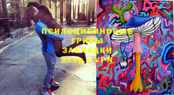 бошки Кодинск