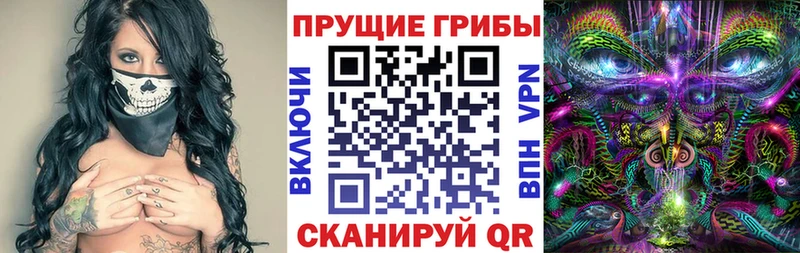 Галлюциногенные грибы Psilocybe Орехово-Зуево